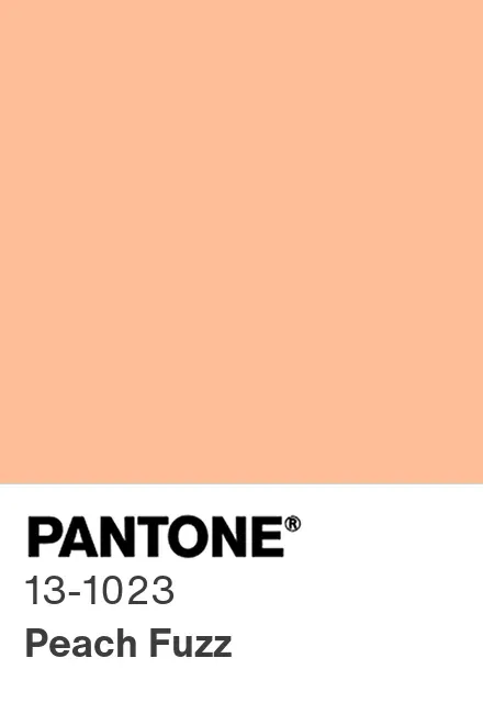 Pantone del 2024 – PANTONE 13-1023 Peach Fuzz